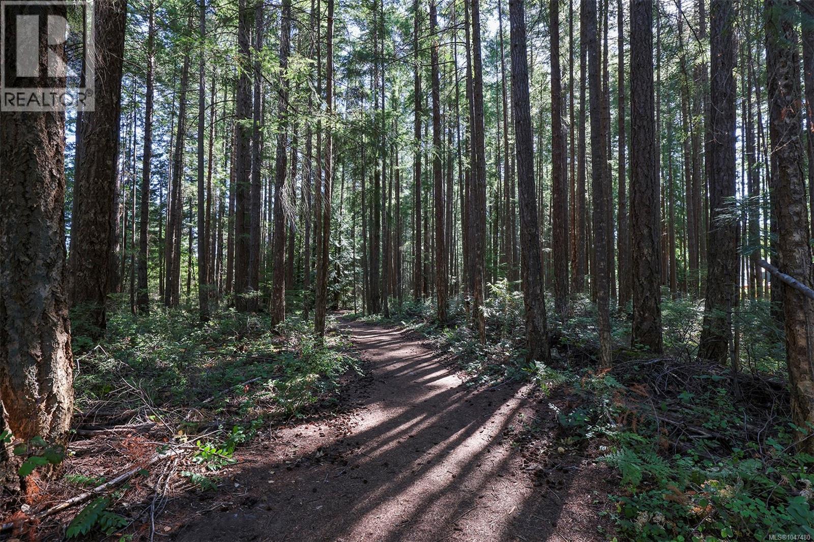 Lt 4 Pritchard Rd, Comox, British Columbia  V9M 3S8 - Photo 10 - 1047480
