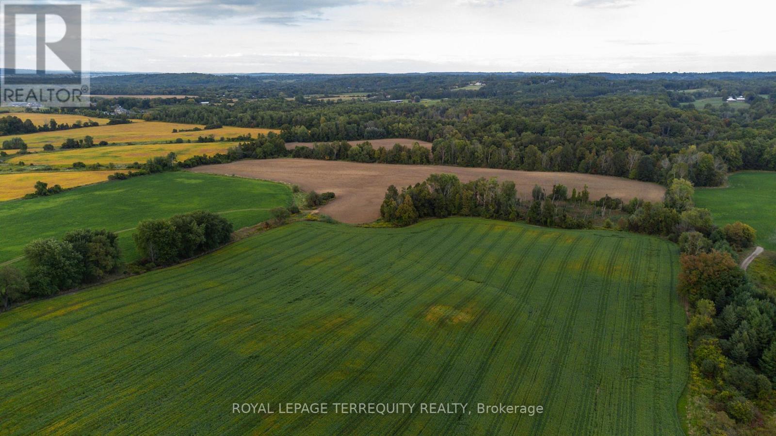 15625 8th Concession Road, King, Ontario  L0G 1T0 - Photo 46 - N13698082