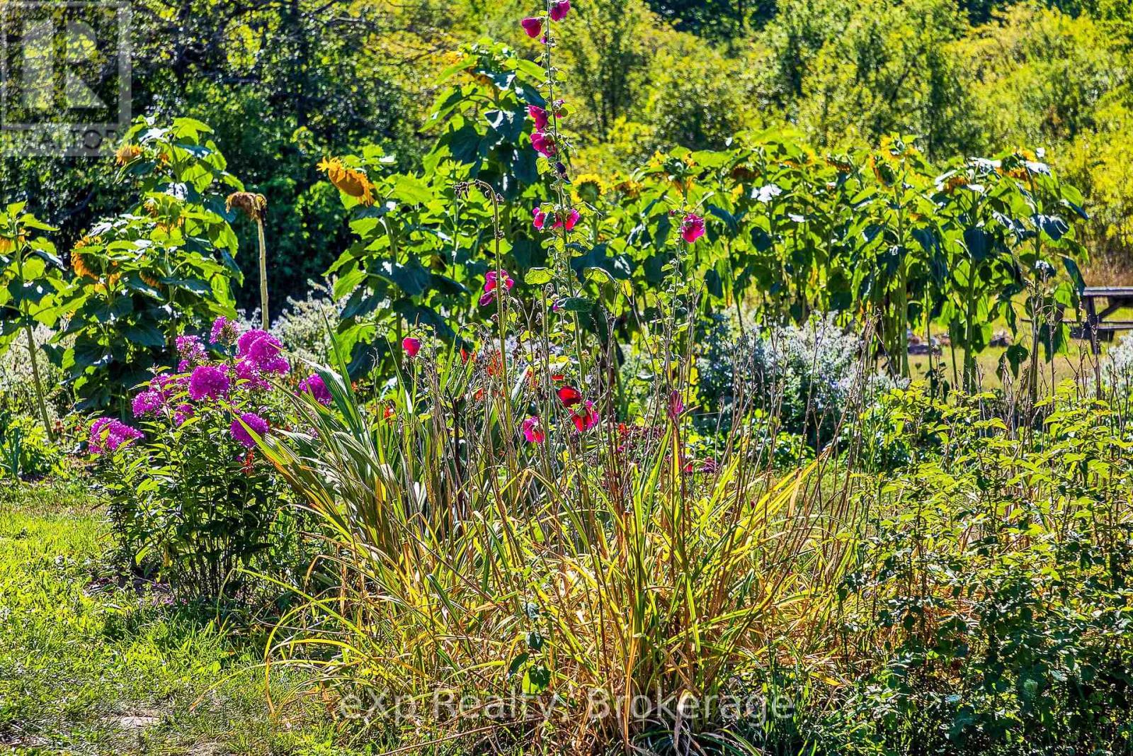 58111 12th Line, Meaford, Ontario  N4L 1W5 - Photo 24 - X13698068
