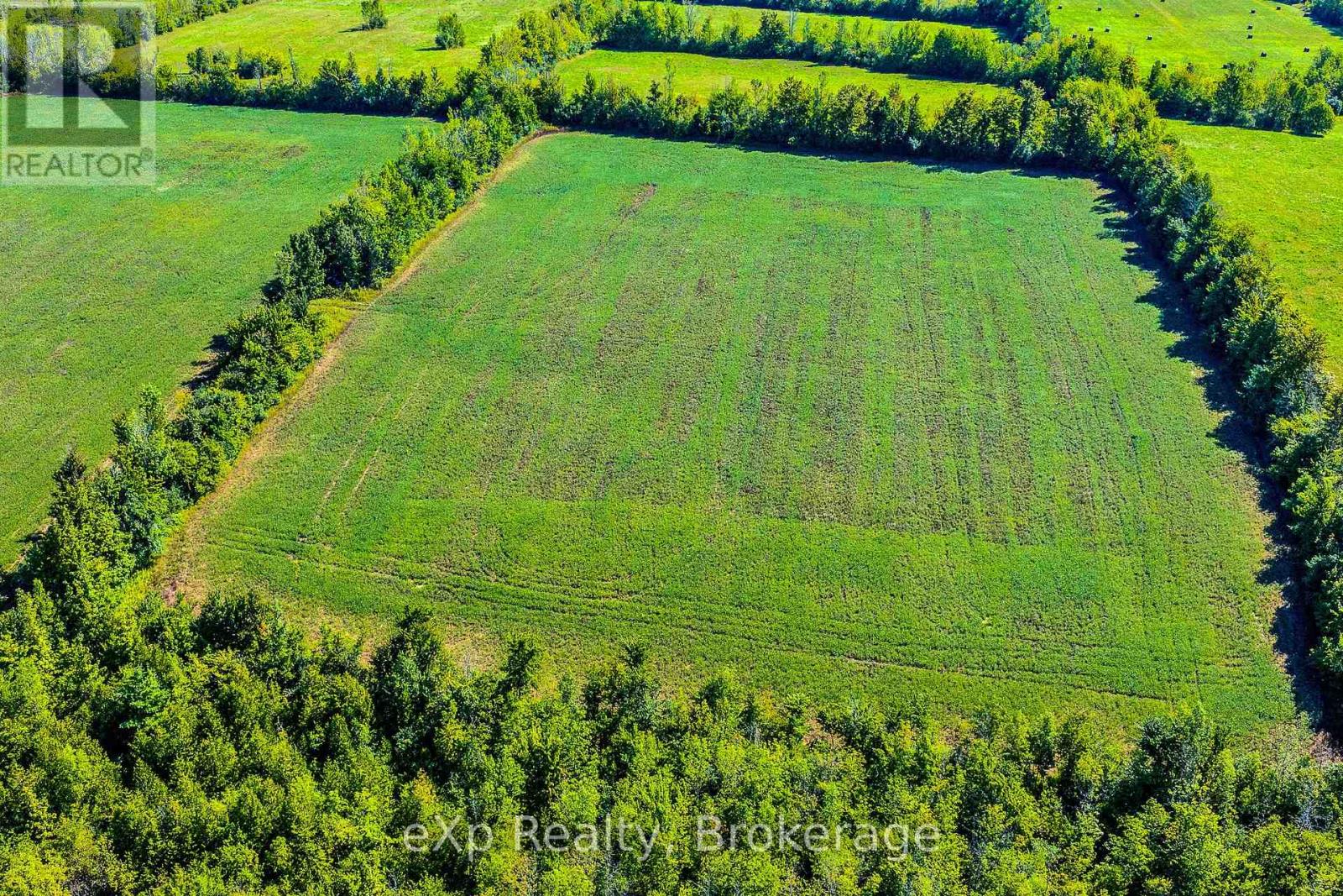 58111 12th Line, Meaford, Ontario  N4L 1W5 - Photo 31 - X13698068