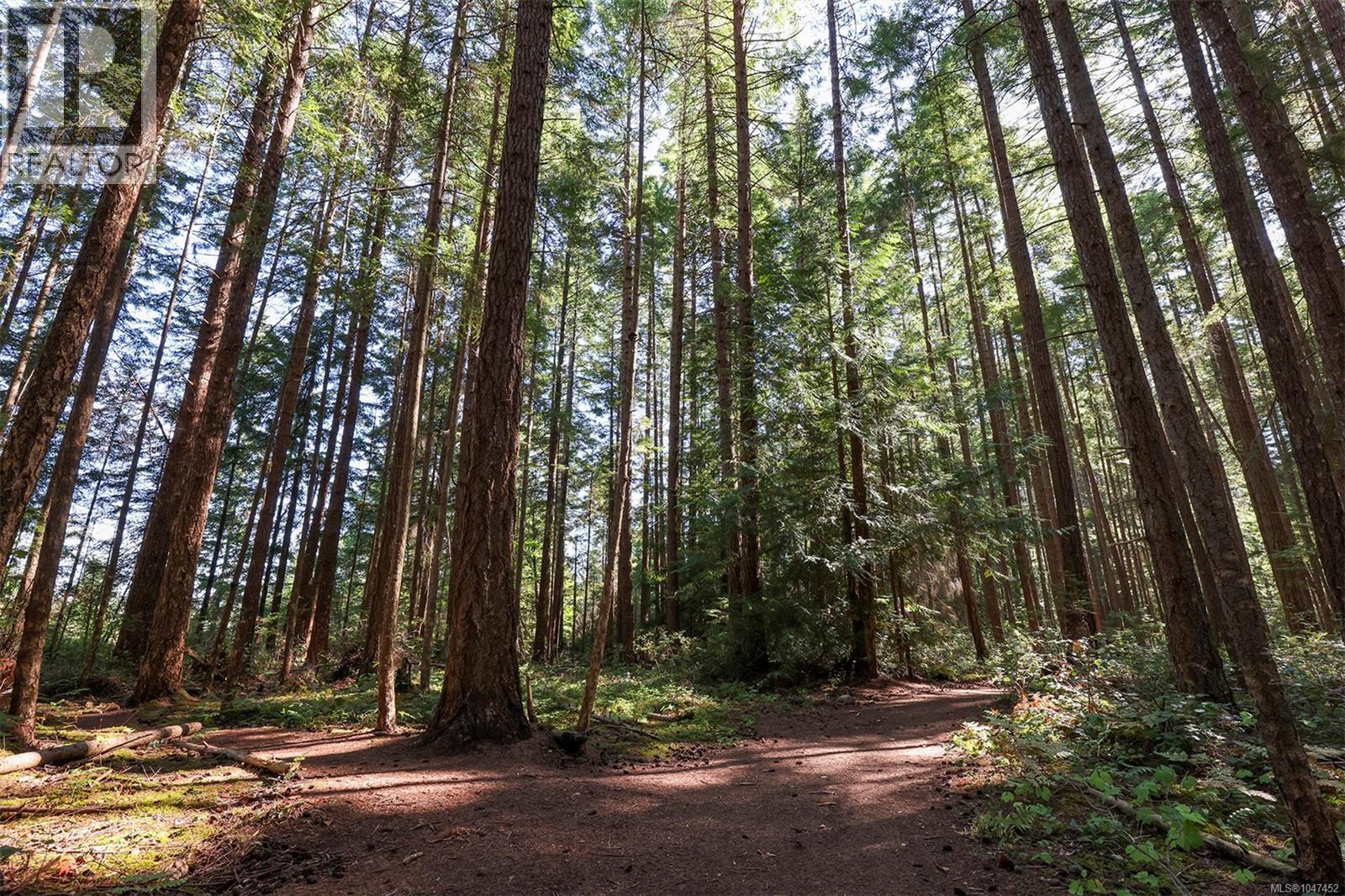 Lt 4 Pritchard Rd, Comox, British Columbia  V9M 3S8 - Photo 11 - 1047452