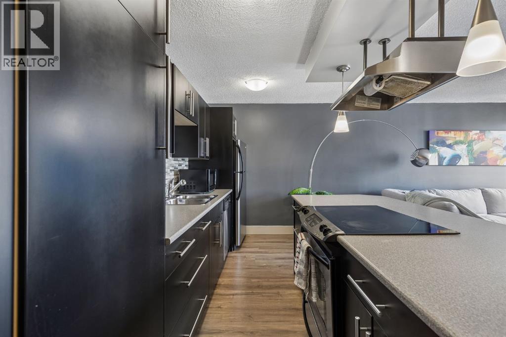 206, 505 19 Avenue SW, Calgary, Alberta  T2S 0E4 - Photo 5 - A2331686