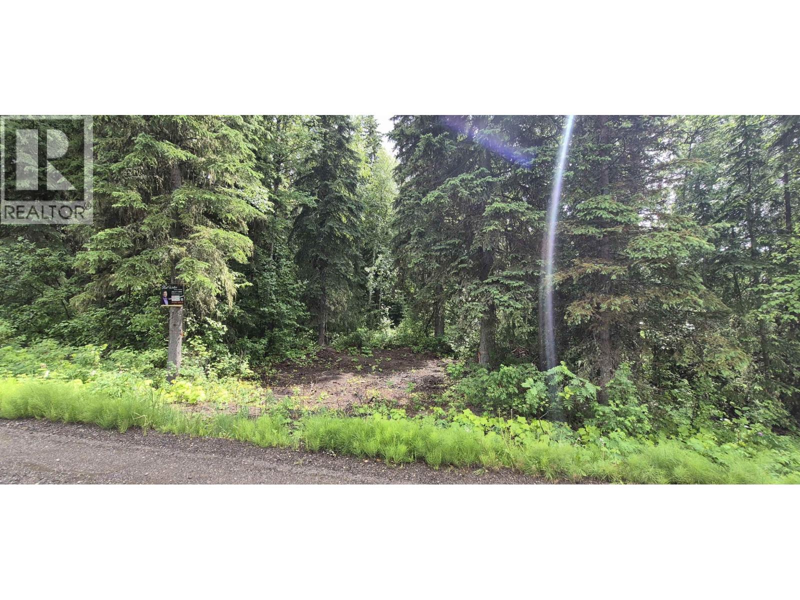 9341 Birchill Crescent, Prince George, British Columbia  V2N 6G9 - Photo 1 - R3101971
