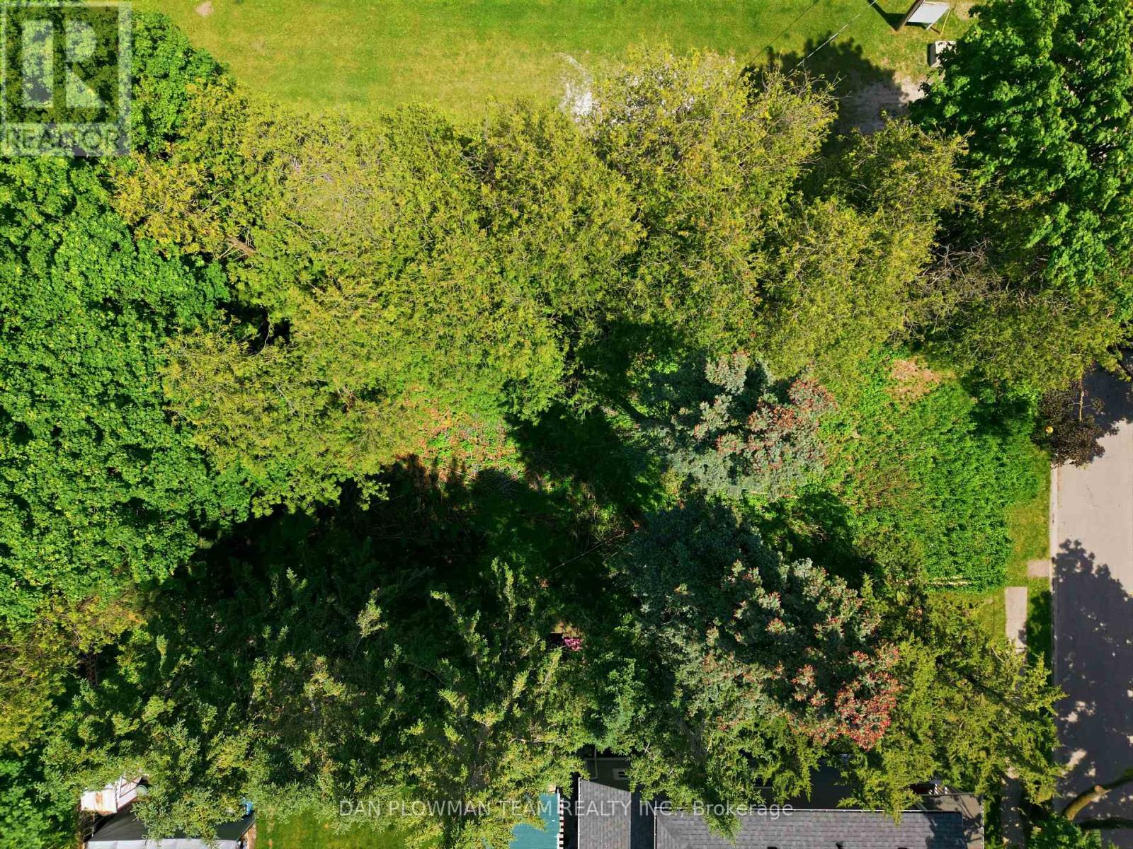 38 Park Street, Clarington, Ontario L1B 1H2 - Photo 7 - E13698240
