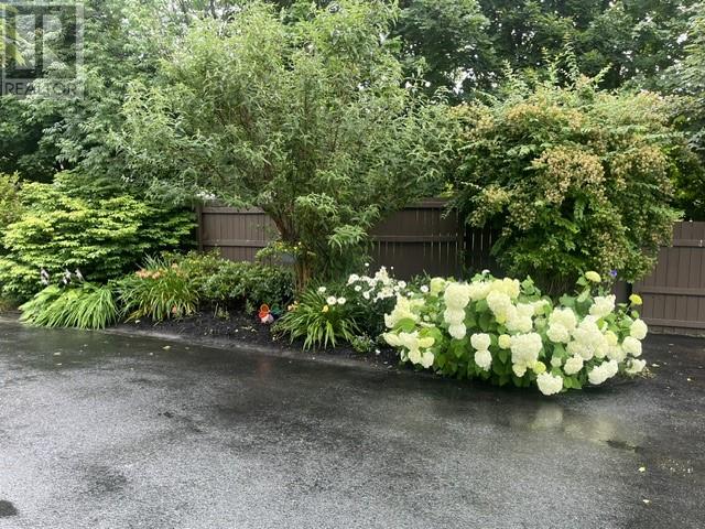 125 Cherry Lane, Conception Bay South — photo 12