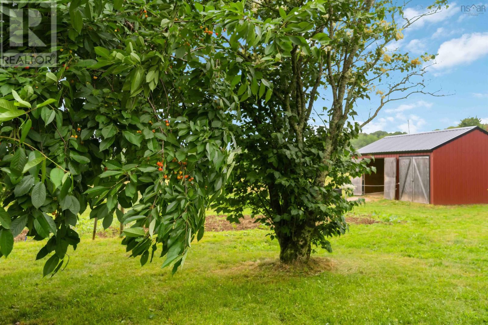 805 Bligh Road, Woodville, Nova Scotia  B0P 1G0 - Photo 42 - 202617591