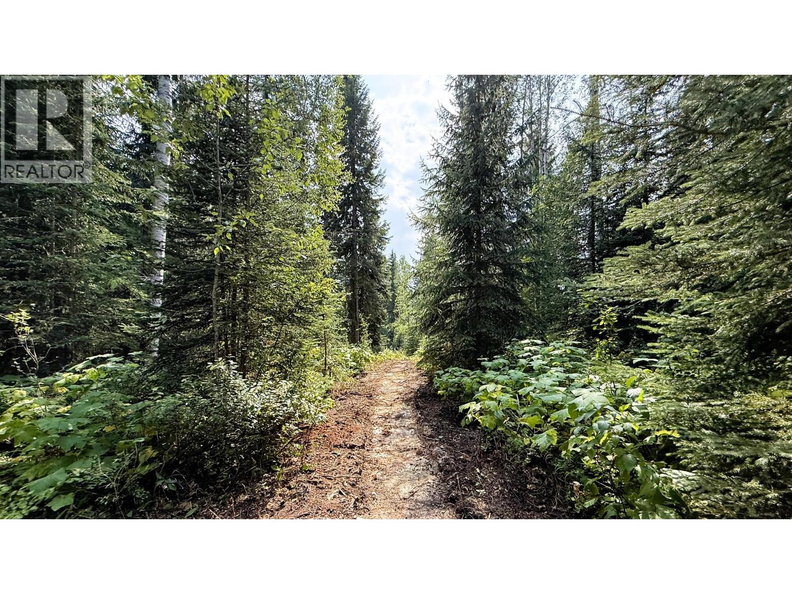 2434 Kettleston Road, Golden, British Columbia  V0A 1H1 - Photo 52 - 10398165