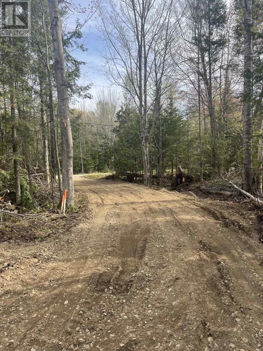 Nils Bay Rd, Goulais River, Ontario  P0S 1E0 - Photo 15 - SM262257