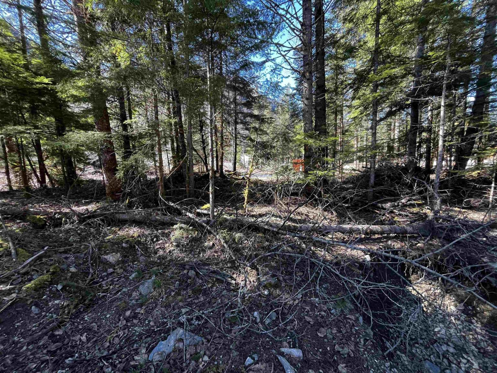 Sve29 Old Hope Princeton Highway, Sunshine Valley, Sunshine Valley, British Columbia  V0X 1L5 - Photo 8 - R3157559