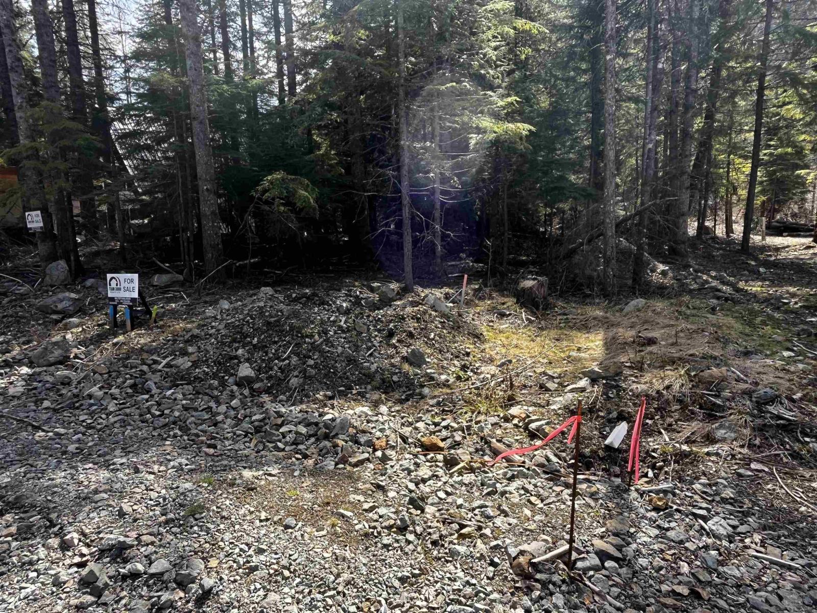 Sve29 Old Hope Princeton Highway, Sunshine Valley, Sunshine Valley, British Columbia  V0X 1L5 - Photo 3 - R3157559