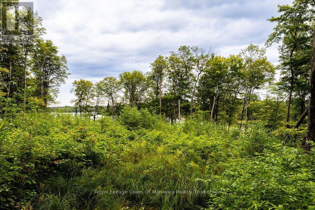 F - 790 Garage Road, Armour, Ontario  P0A 1C0 - Photo 11 - X13698560