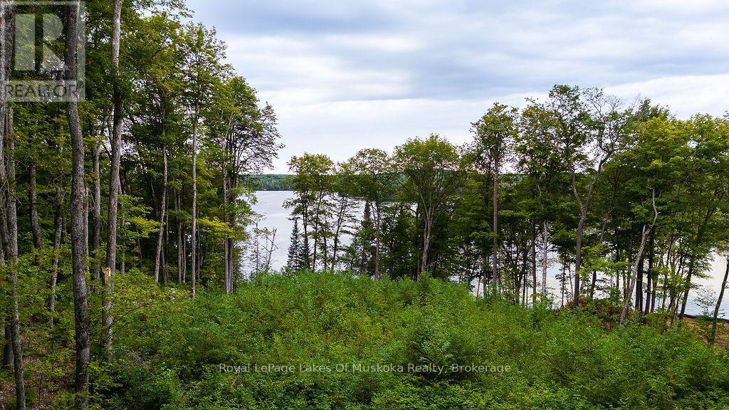 F - 790 Garage Road, Armour, Ontario  P0A 1C0 - Photo 20 - X13698560