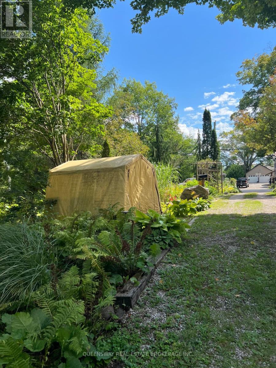 10 Mill Street W, Springwater, Ontario  L0L 1V0 - Photo 6 - S13698654