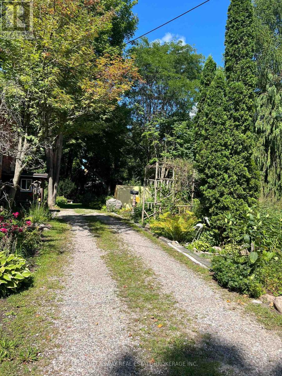 10 Mill Street W, Springwater, Ontario  L0L 1V0 - Photo 8 - S13698656