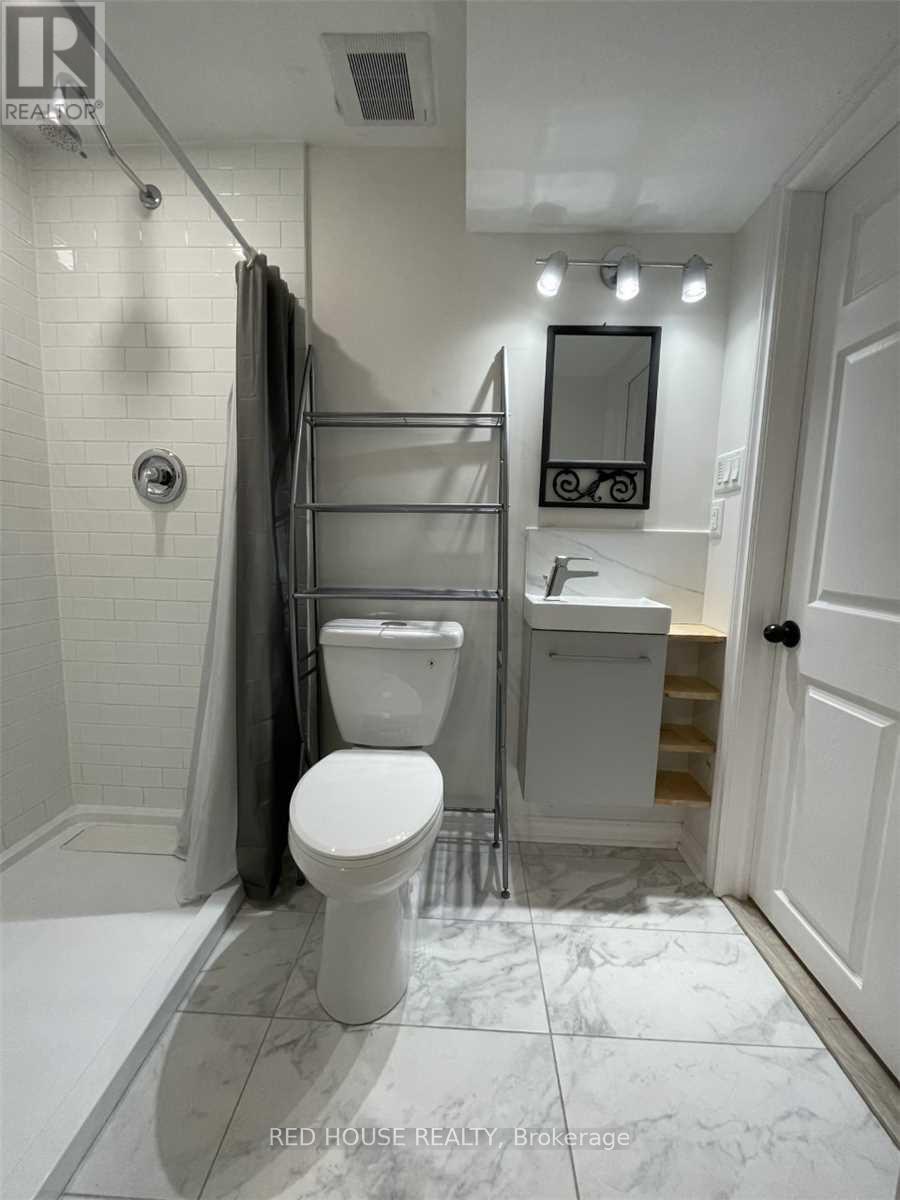 Lower - 69 Simpson Road, Newmarket, Ontario  L3Y 5E5 - Photo 13 - N13698678