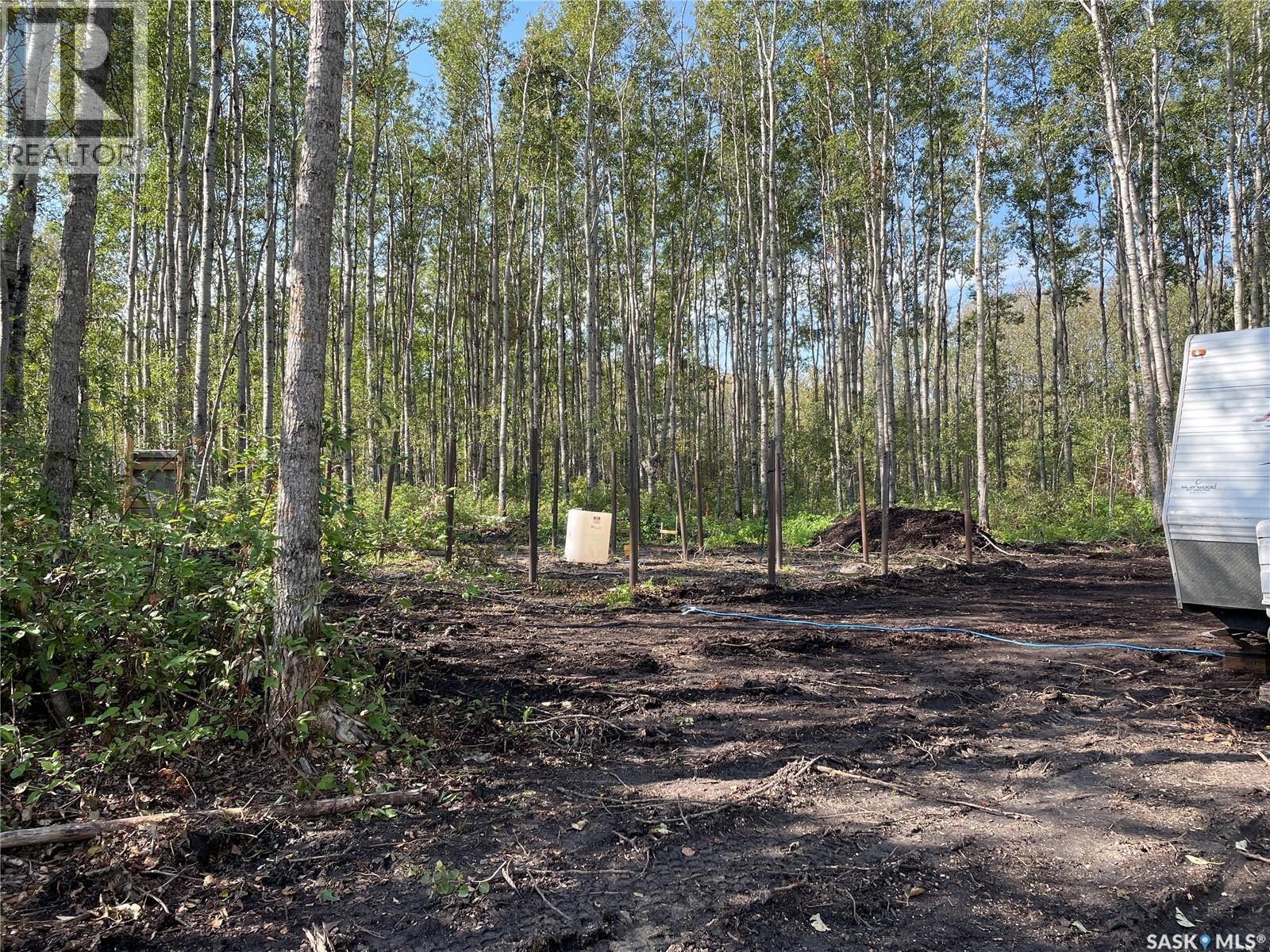 7 Buffalo Pound Road, Delaronde Lake, Saskatchewan  S0J 0E0 - Photo 4 - SK045928