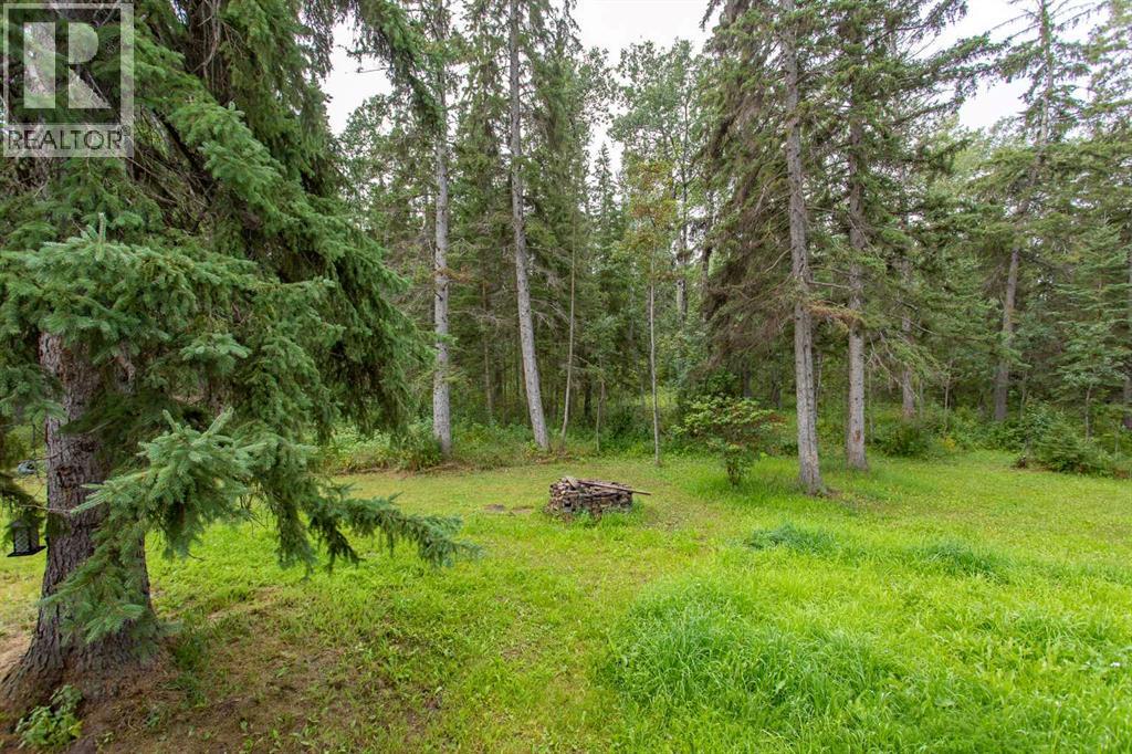 34470 Range Road 20, Rural Red Deer County, Alberta  T0M 0K0 - Photo 23 - A2338295