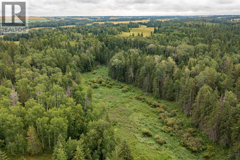 34470 Range Road 20, Rural Red Deer County, Alberta  T0M 0K0 - Photo 31 - A2338295