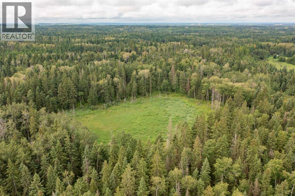 34470 Range Road 20, Rural Red Deer County, Alberta  T0M 0K0 - Photo 32 - A2338295