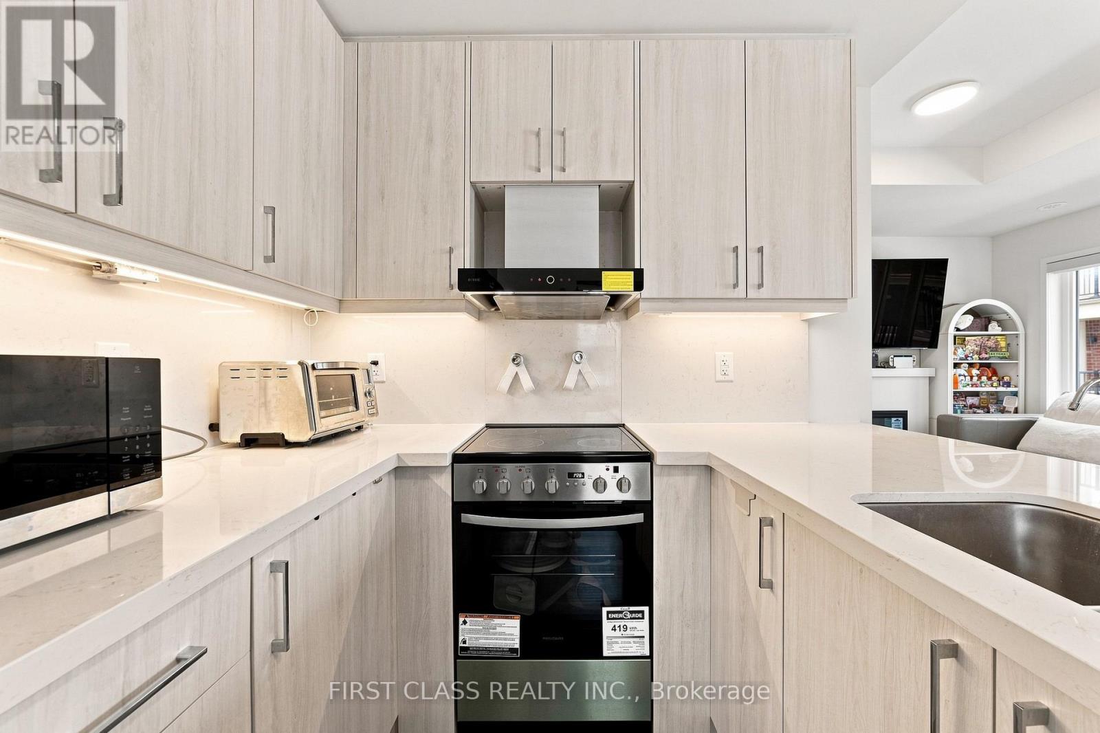 224 Matawin Lane, Richmond Hill, Ontario  L4B 0H8 - Photo 14 - N13698796