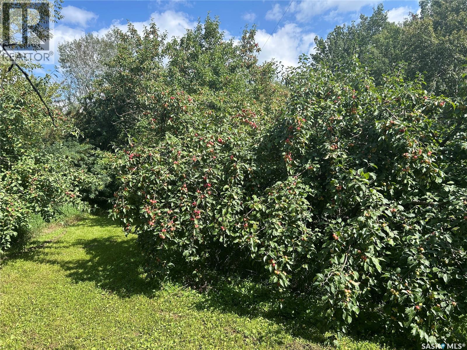 Dzurka Acreage, Tisdale Rm No. 427, Saskatchewan  S0E 0E0 - Photo 49 - SK046240