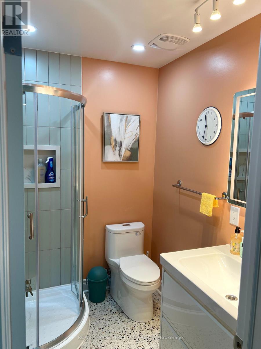 Basement - 162 Kingsbridge Circle, Vaughan, Ontario  L4J 8P2 - Photo 9 - N13698938