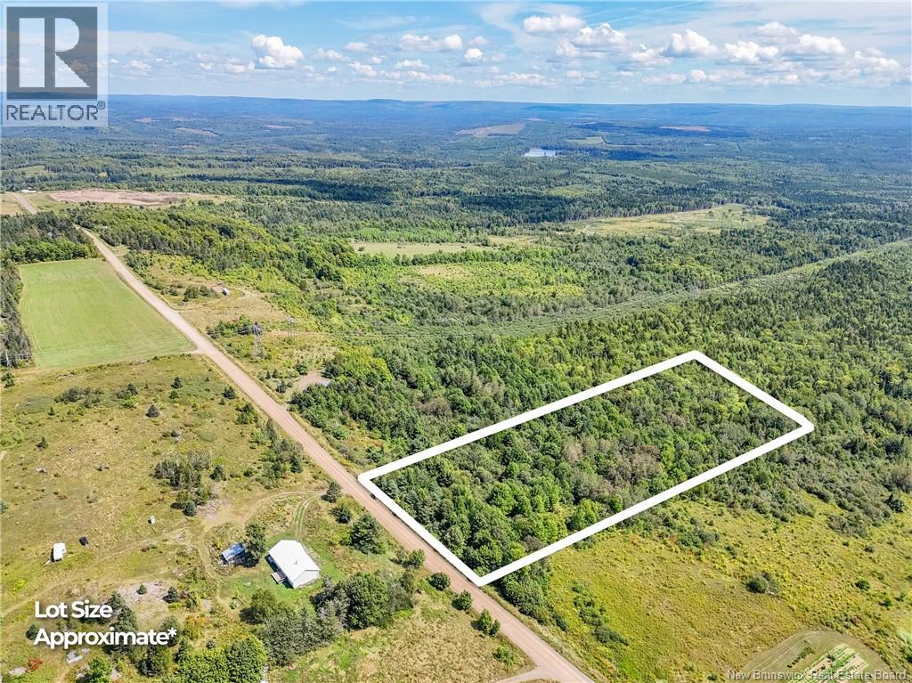 Lot 23-01 Howland Ridge Road, Millville, New Brunswick  E6E 1R3 - Photo 6 - NB146117