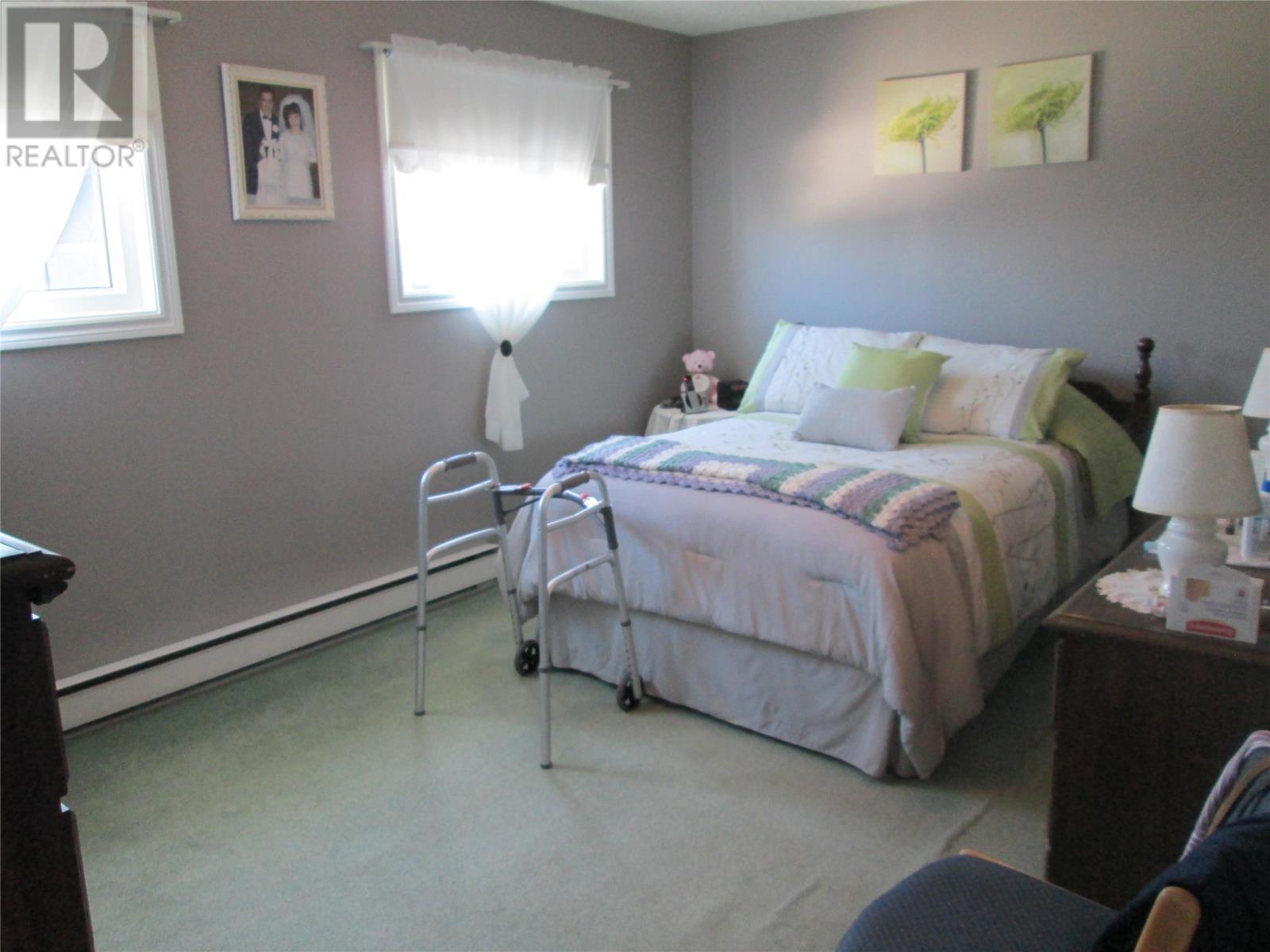 2 Rewa Avenue, Bishop's Falls — photo 19