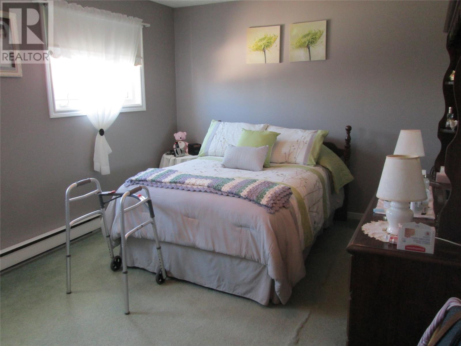 2 Rewa Avenue, Bishop's Falls — photo 20