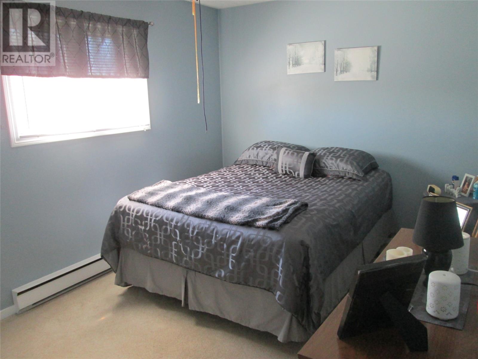 2 Rewa Avenue, Bishop's Falls — photo 22