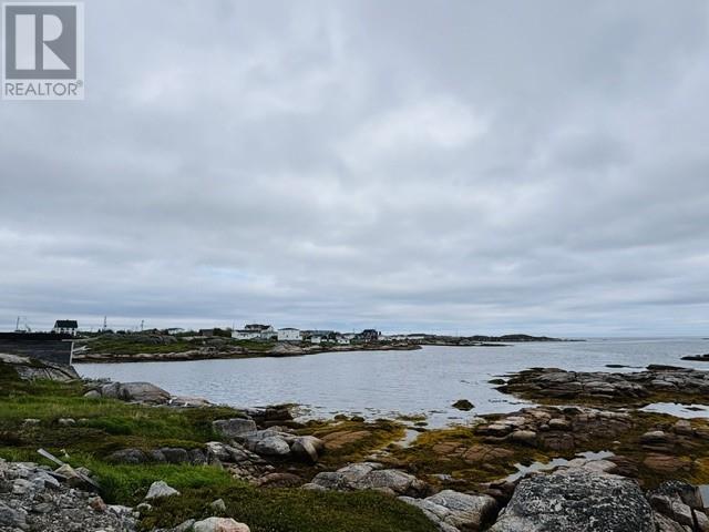 20 Oceanview Avenue, New Wes Valley, Newfoundland & Labrador  A0G 4R0 - Photo 10 - 1299803