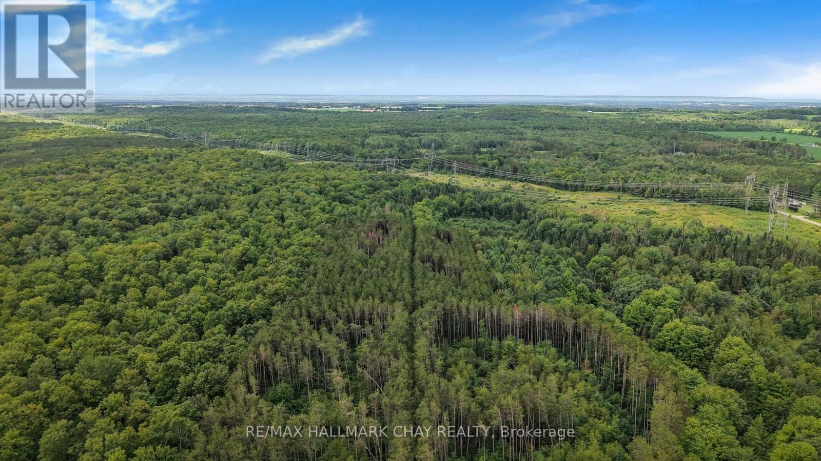 1347 Old Second Road N, Springwater (Hillsdale), Ontario  L0L 2K0 - Photo 17 - S13699038