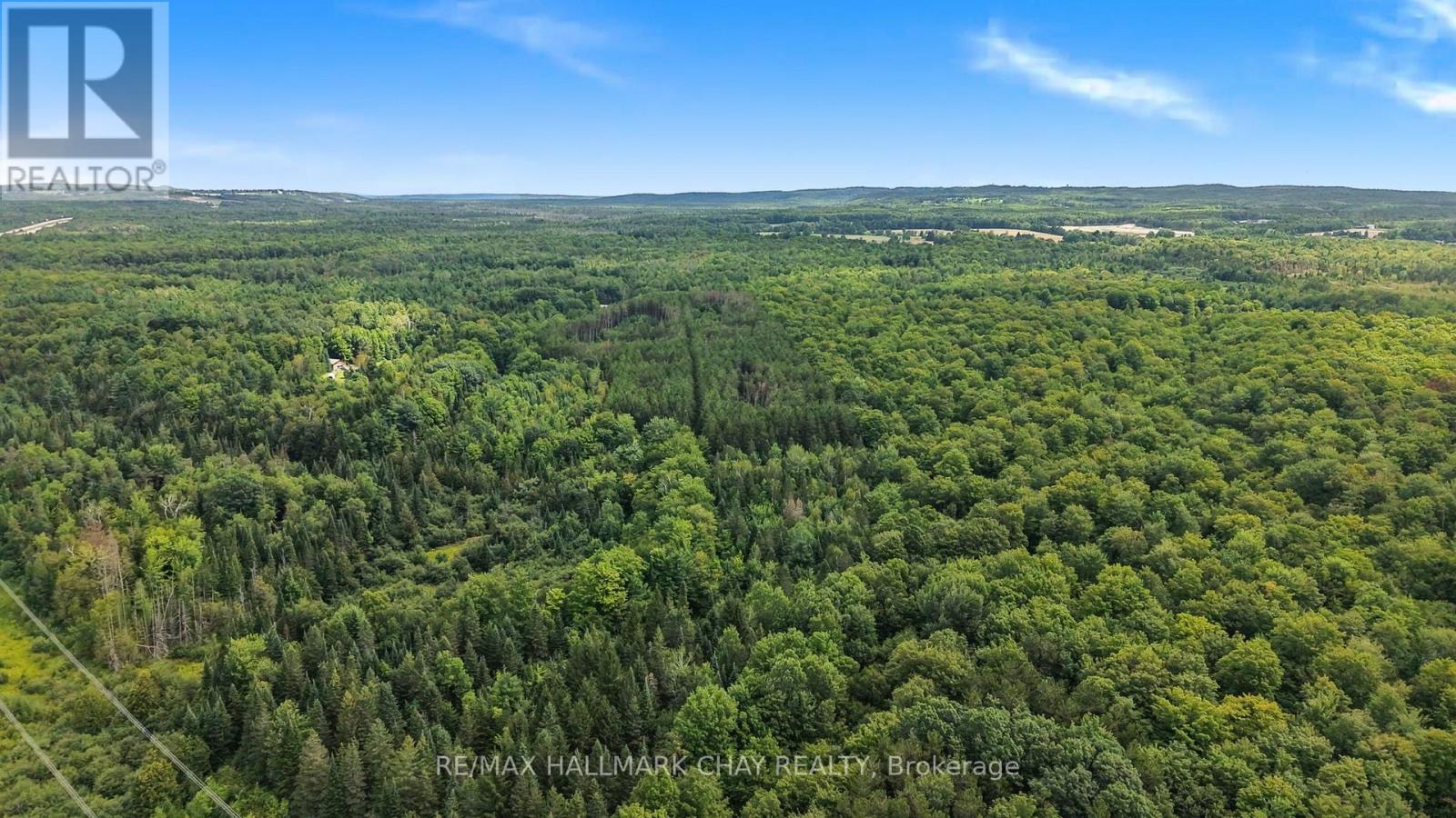 1347 Old Second Road N, Springwater (Hillsdale), Ontario  L0L 2K0 - Photo 22 - S13699038