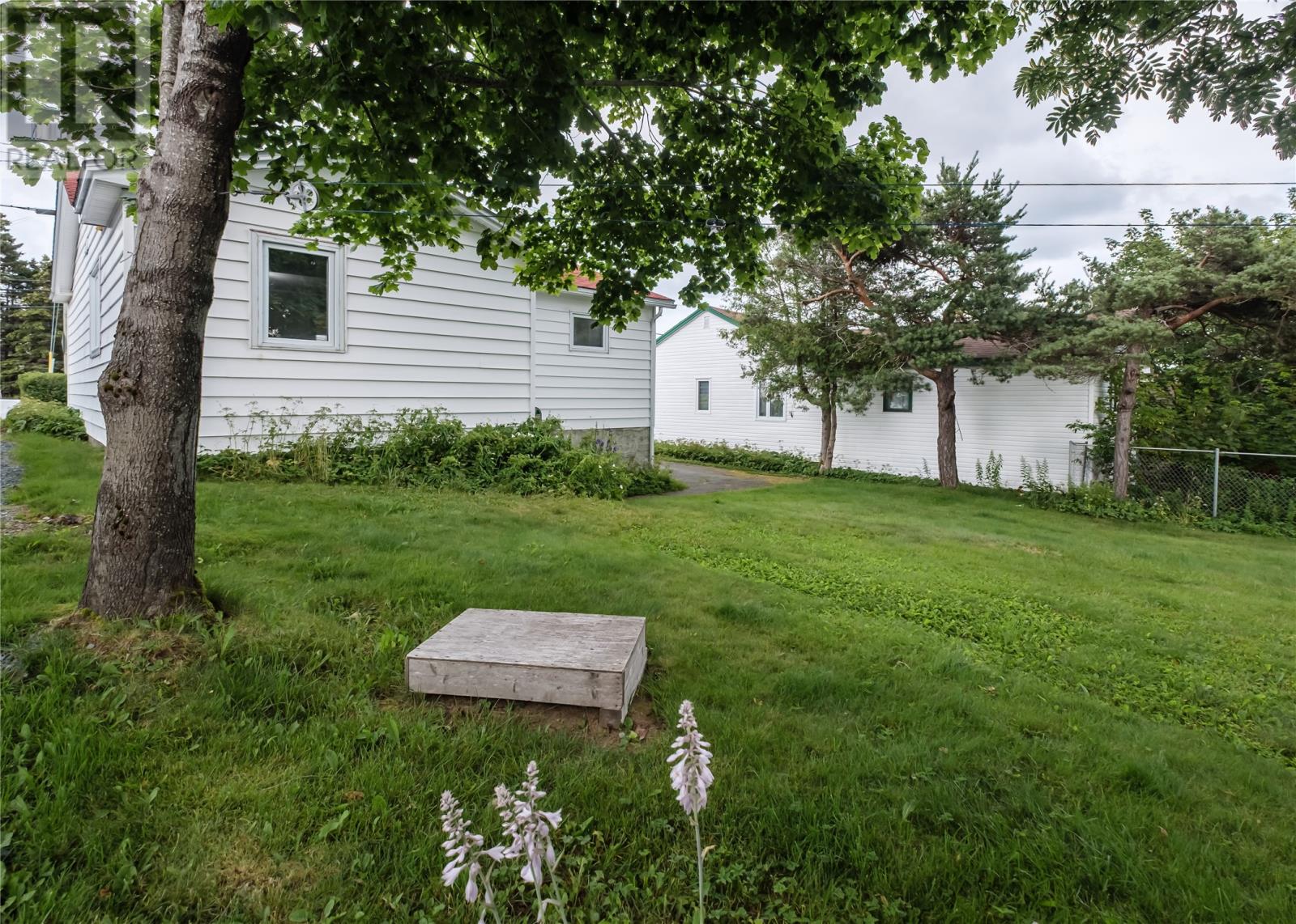 47 Airport Heights Drive, St. John's — photo 9