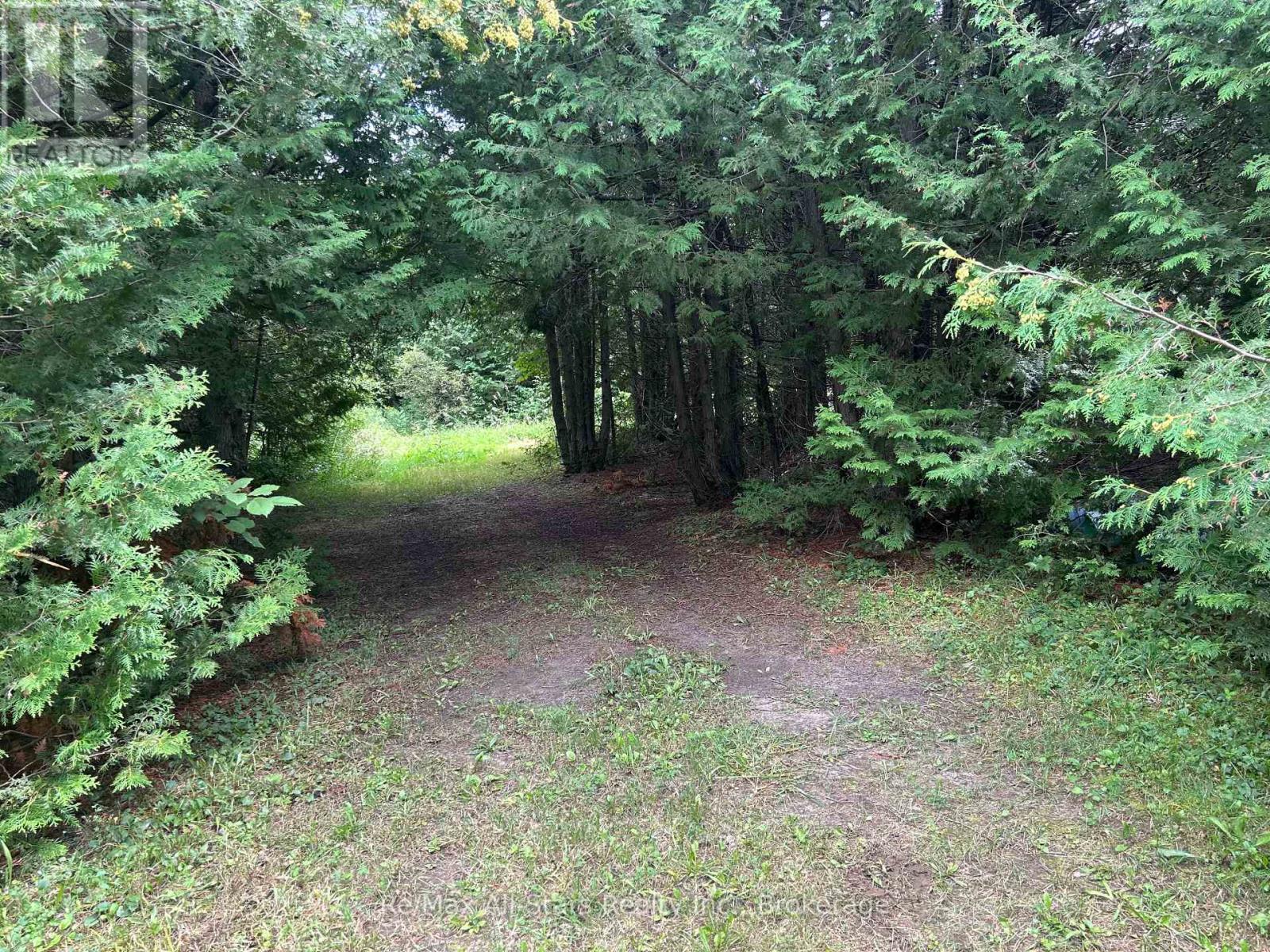 0 Moor Road, Kawartha Lakes, Ontario  K0M 2T0 - Photo 20 - X13699132