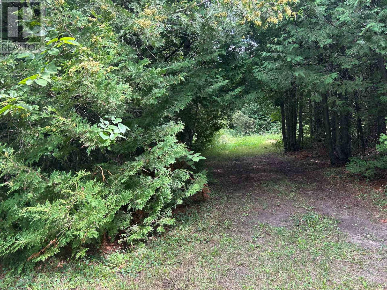0 Moor Road, Kawartha Lakes, Ontario  K0M 2T0 - Photo 3 - X13699132