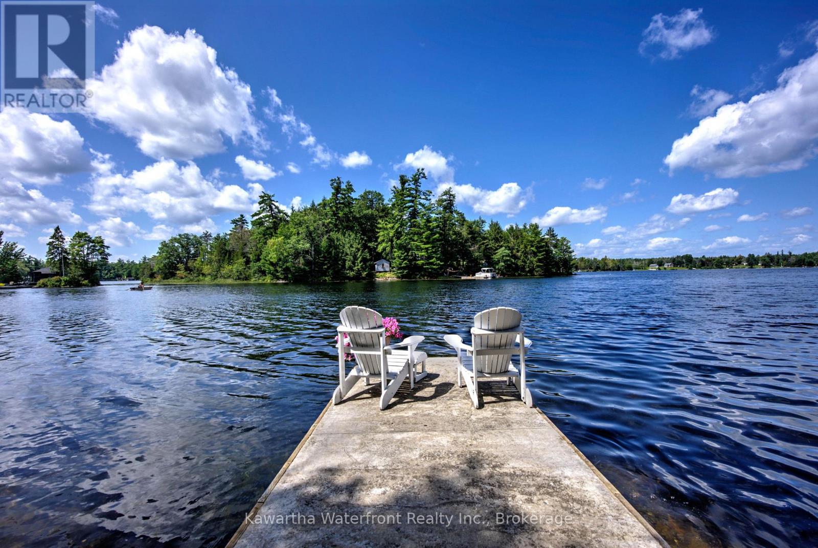 31 Buck Lane, Kawartha Lakes, Ontario  K0M 1K0 - Photo 25 - X13699154