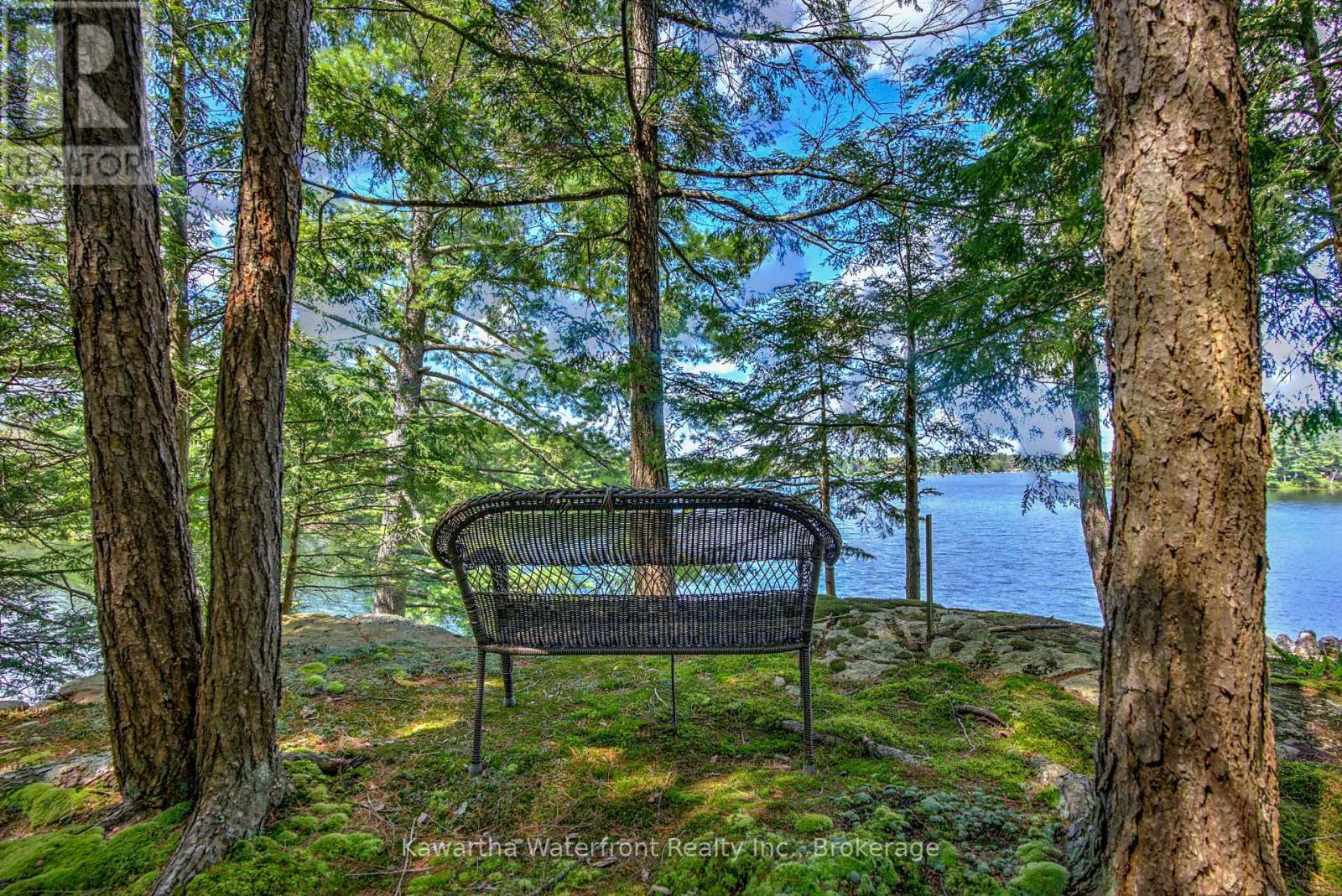 31 Buck Lane, Kawartha Lakes, Ontario  K0M 1K0 - Photo 29 - X13699154