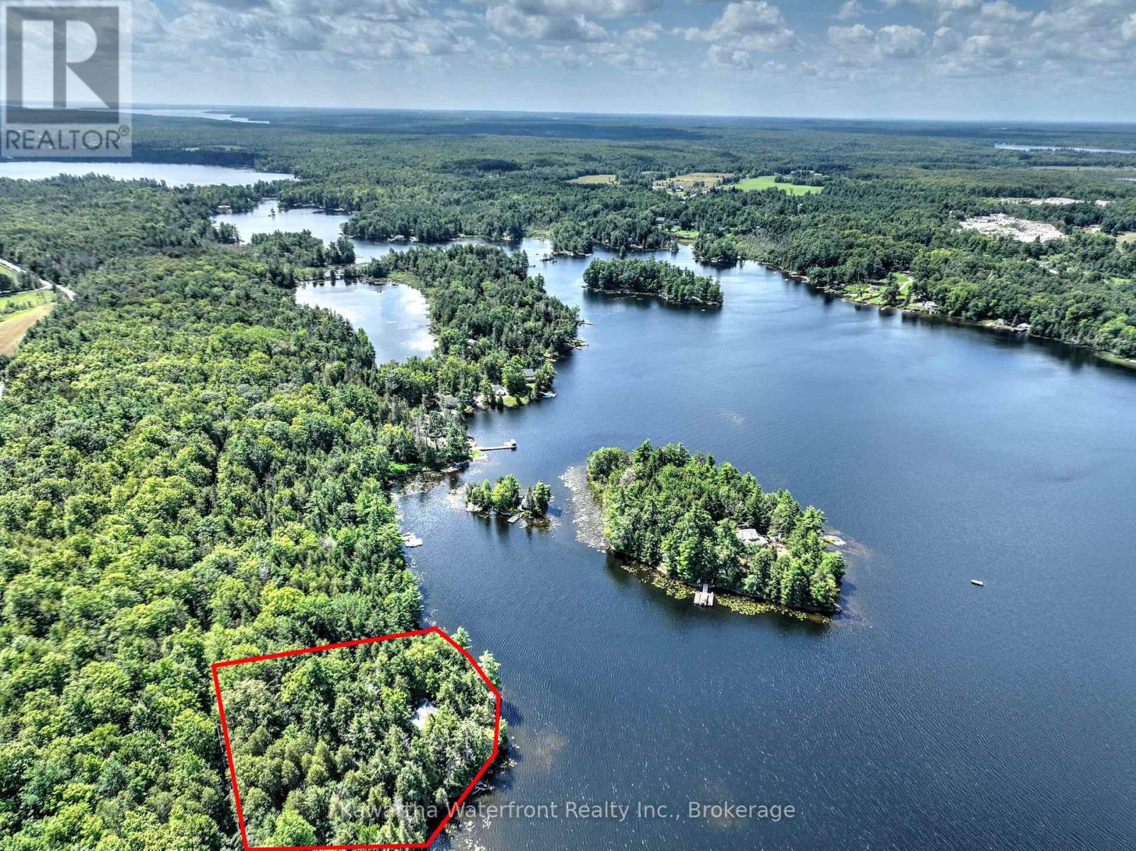31 Buck Lane, Kawartha Lakes, Ontario  K0M 1K0 - Photo 4 - X13699154
