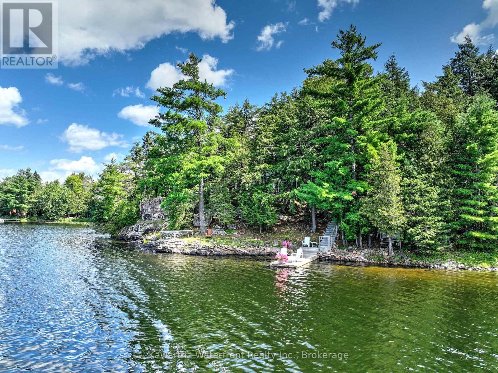 31 Buck Lane, Kawartha Lakes, Ontario  K0M 1K0 - Photo 5 - X13699154