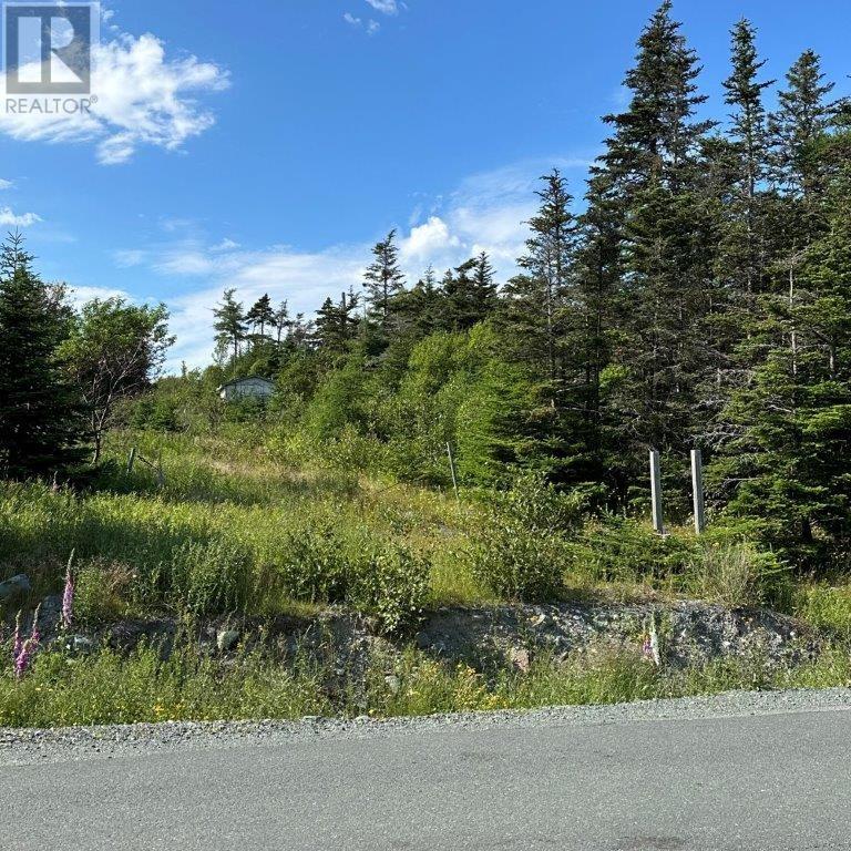 638 Indian Meal Line, Portugal Cove-St. Philips, Newfoundland & Labrador  A1M 3E7 - Photo 8 - 1293238