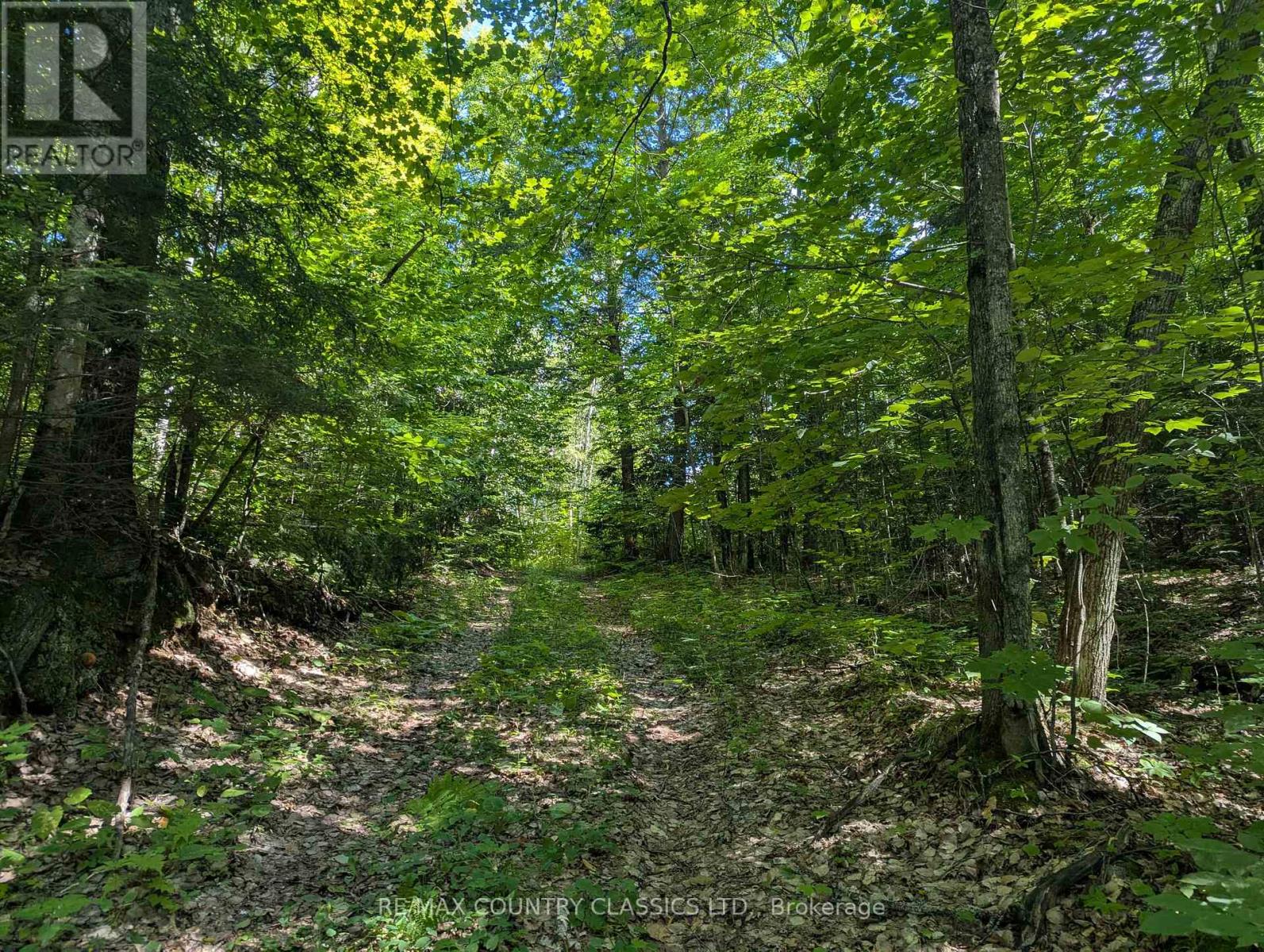 3557 Mountainview Road, Killaloe, Ontario K0J 2A0 - Photo 3 - X13699256