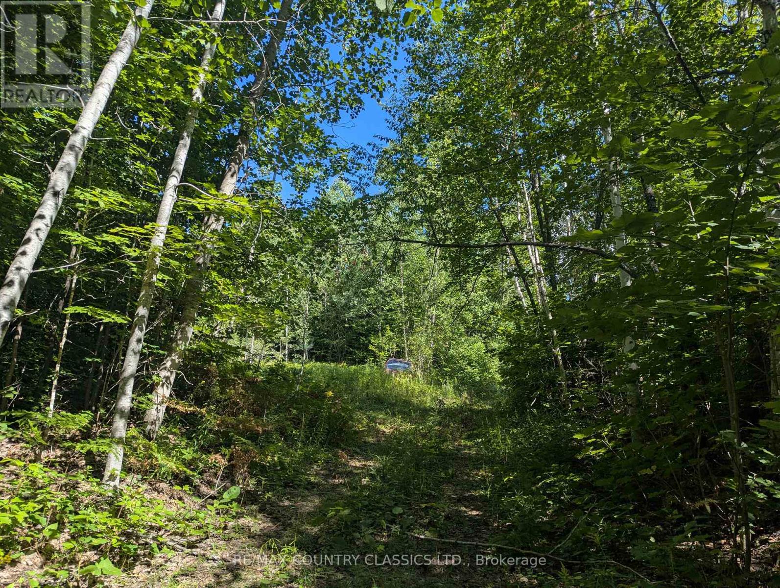 3557 Mountainview Road, Killaloe, Ontario K0J 2A0 - Photo 4 - X13699256