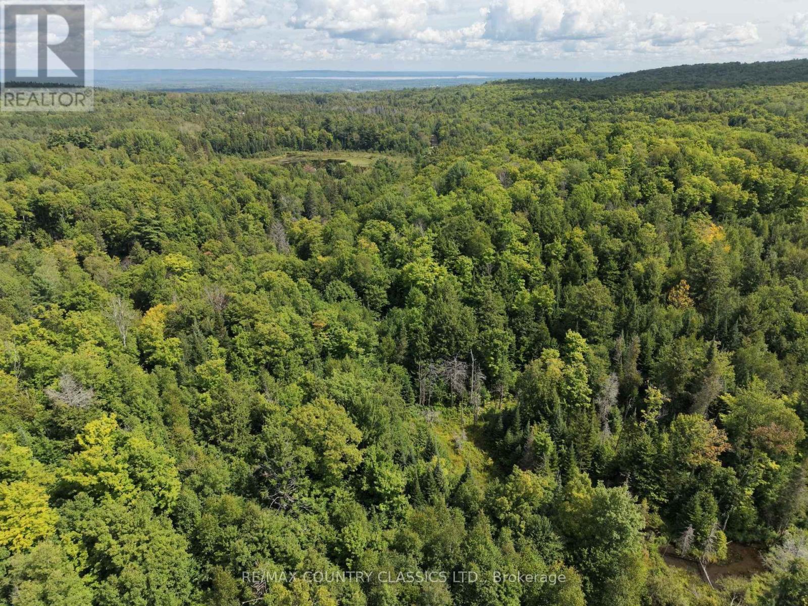 3557 Mountainview Road, Killaloe, Ontario  K0J 2A0 - Photo 9 - X13699256