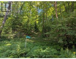 3557 MOUNTAINVIEW ROAD, Killaloe, Ontario