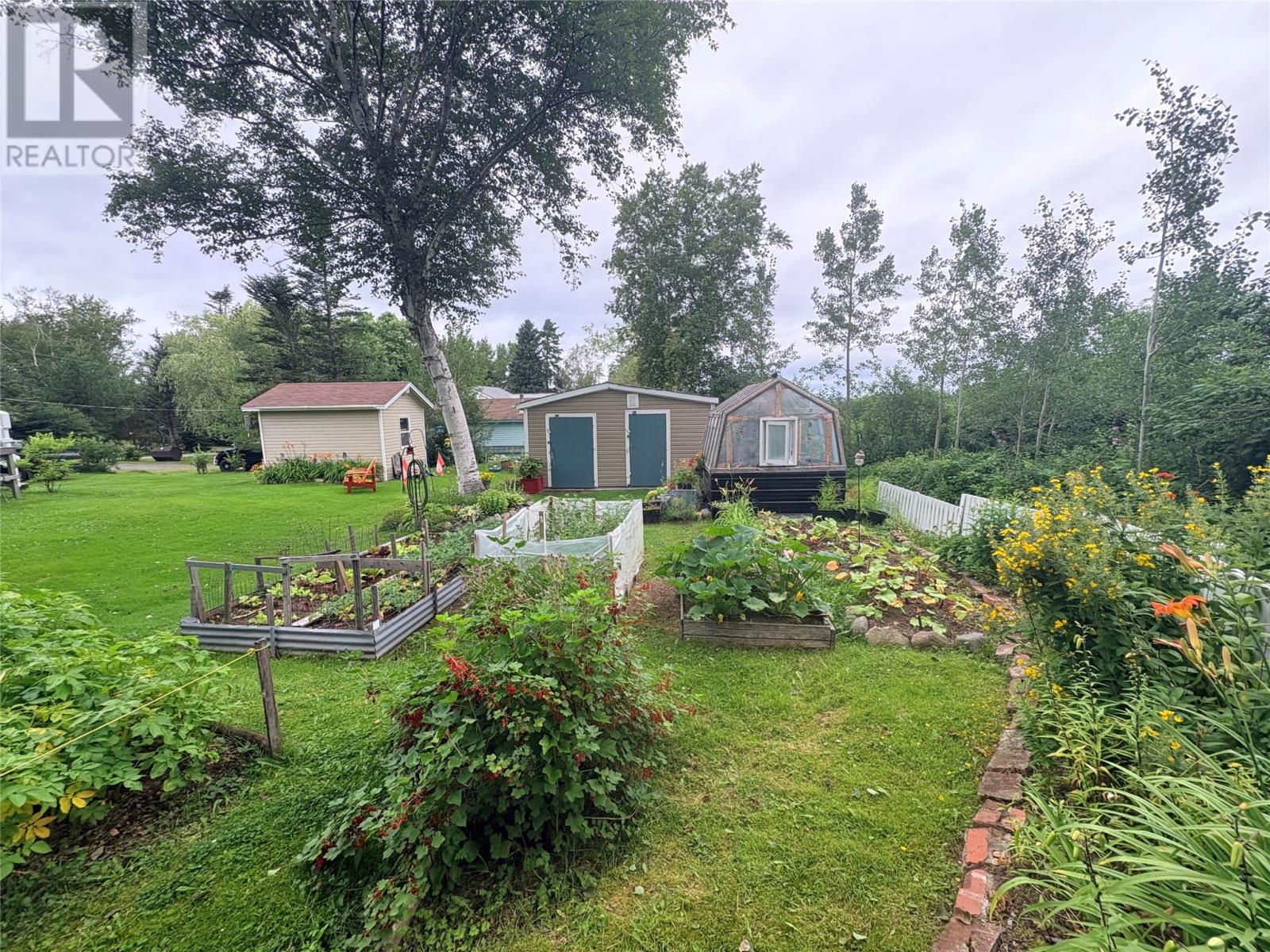 5 Seaview Lane, Campbellton — photo 25