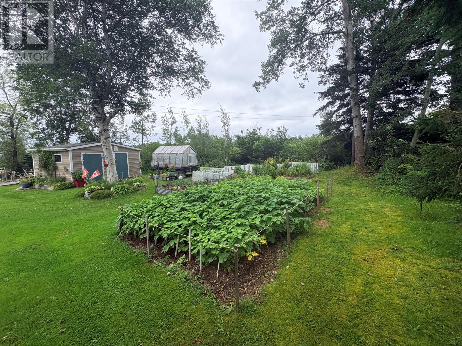 5 Seaview Lane, Campbellton — photo 26