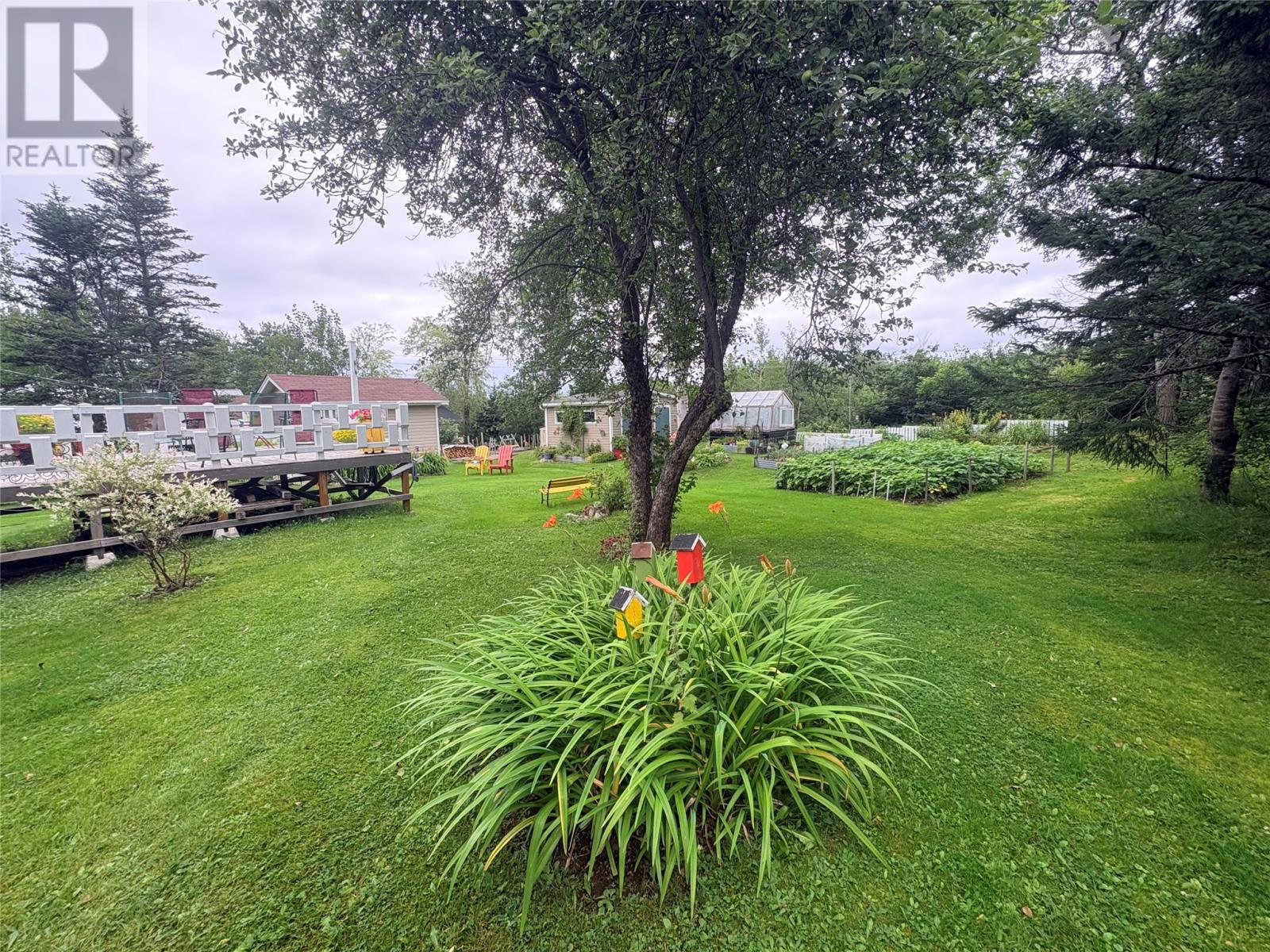 5 Seaview Lane, Campbellton — photo 27