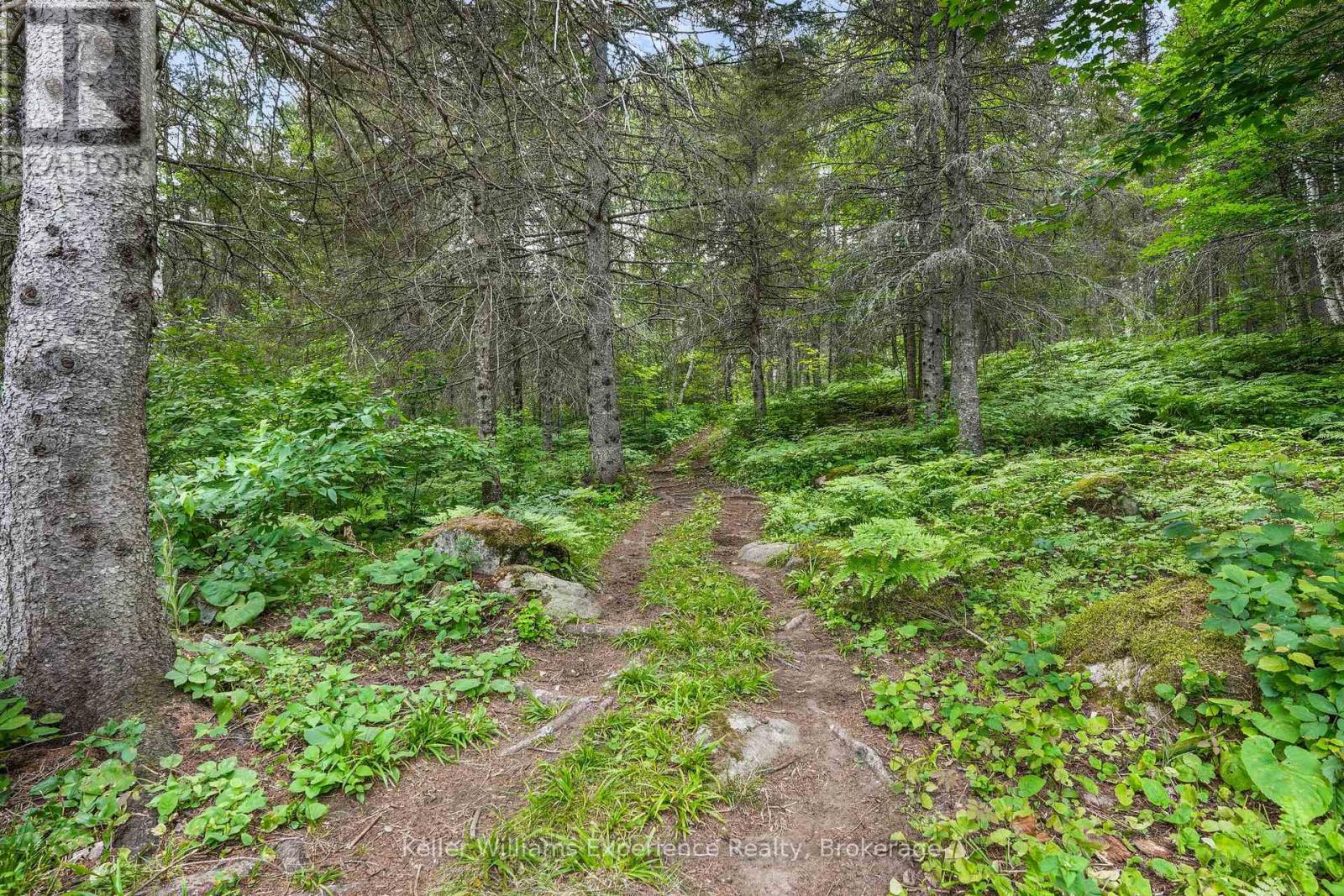 9000 Galeairy Lake, South Algonquin, Ontario  K0J 2M0 - Photo 20 - X13699264