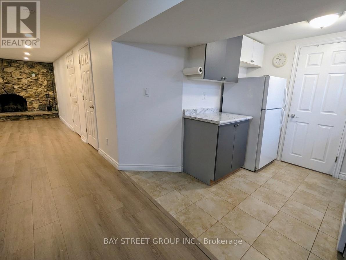 Bsmt - 314 Palmer Avenue, Richmond Hill, Ontario L4C 1P3 - Photo 4 - N13643040